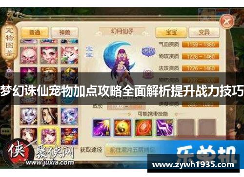 梦幻诛仙宠物加点攻略全面解析提升战力技巧
